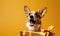 Delightful corgi dog on a vibrant yellow background. AI generative