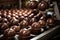 Delightful desserts in the making: chocolate factory