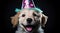 In this delightful image, a dog dons a party hat, creating a playful atmosphere as it extends a heartwarming birthday