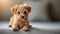 Delightful image of a tiny fluffy dog, exuding charm and irresistible appeal. large copyspace area