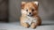 Delightful image of a tiny fluffy dog, exuding charm and irresistible appeal. large copyspace area