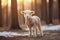 Delightful little lamb roaming and grazing serenely in the idyllic natural landscape