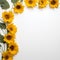 Delightful Sunflower Charm Uncluttered Background