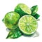 A delightful watercolor depiction of juicy lime wedges