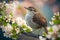 Delightfully beautiful nightingale bird on a flowering tree in spring