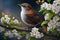 Delightfully beautiful nightingale bird on a flowering tree in spring