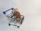 A delivery box tied with twine with a wax seal in a metal supermarket cart