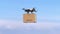 Delivery drone, Autonomous delivery robot