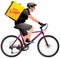 Delivery Service bike courier realistic vector illustration, bicycle rider with the bsg
