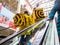 Delivery service `Yandex. Food` couriers rise on the escalator