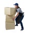 Delivery woman in Gray shirt and apron is holding boxes isolated shirt and apron. she lifting heavy weight boxes isolated