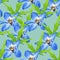 Delphinium, larkspur. Illustration, texture of flowers. Seamless pattern for continuous replication. Floral background, photo