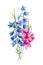 Delphinium watercolor flower. Beautiful bouquet of flowers on isolated white background, watercolor botanical painting