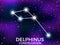 Delphinus constellation. Starry night sky. Cluster of stars and galaxies. Deep space. Vector