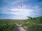 Delta plane gliding and floating in blue sky above green hill with earthy path skyward and lonely tree