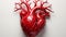 Delve into anatomy of the cardiovascular system with this detailed depiction of a Red heart against Perfect for