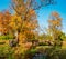 Demidovsky Park in autumn and the old stone bridge in the village of Taitsy, Russia