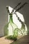 Demijohn vase with eucalyptus branches. Decorative glass vase