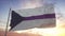 Demisexual pride flag waving in the wind, sky and sun background. 3d rendering