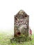 Democracy is dead, UK EU referendum politics. Ancient gravestone in fog, with blood and bedraggled Union Jack flag.