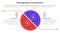 demographic man vs woman comparison concept for infographic template banner with big slice half circle with line separation with