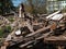 Demolished old wooden house and brick chimney on a sunny day