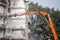 Demolition of building. Red grab crane with hydraulic scissors closeup