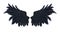Demon Wings, Black Wing Plumage on White Background