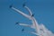 Demonstration Flights of Blue Impulse