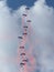 Demonstration of the RAF Falcons, a team of parachutists from the Royal Airforce during an airshow in Belgium