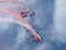 Demonstration of the RAF Falcons, a team of parachutists from the Royal Airforce during an airshow in Belgium