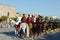 Demonstrative performance of the Kremlin school of riding and cavalry of the Presidential Regiment on Poklonnaya Hill in Moscow.