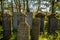 Den Helder, the Netherlands. June 3, 2021.The old dilapidated graves of the Jewish cemetery in Den Helder, the