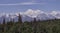 Denali Mount McKinley in Alaska on a Rare Clear Summer Day