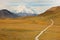 The Denali Mount Peak covered by snow at early morning at Denali National Park.