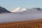 Denali National Park Alaska Autumn Landscape