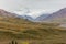 Denali National Park Alaska Scenic Landscape