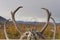 Denali Park Mount Mc Kinley panorama