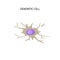 Dendritic cell immunity. Infographics. Vector illustration on isolated background