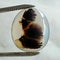 Dendritic Pictorial Agate