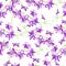 Dendrobium orchids flowers isolated on white hand painted watercolor illustration, seamless pattern design