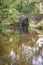 Denham bridge in Devon on a Autumn afternoon.