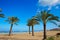 Denia beach Las Marinas with palm trees Alicante