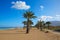 Denia beach Las Marinas with palm trees Alicante