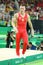 Denis Abliazin of Russian Federation competes at the Men`s Rings Final on artistic gymnastics competition at Rio 2016 Olympic Game