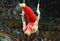 Denis Abliazin of Russian Federation competes at the Men`s Rings Final on artistic gymnastics competition at Rio 2016 Olympic Game