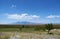 Denizli, Turkey, salt, lake, Acigol Lake, the Bitter Lake, white, green, nature, environmental conservation, saline, road, Asia