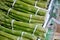Denmark home grwon green asparagusdistplay for sale