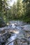 Denny Creek waterfall forest