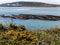 Dense coastal bushes. View of Clonakilty Bay. Sea rocks. A picturesque place in Europe, rock formation near body of water. The